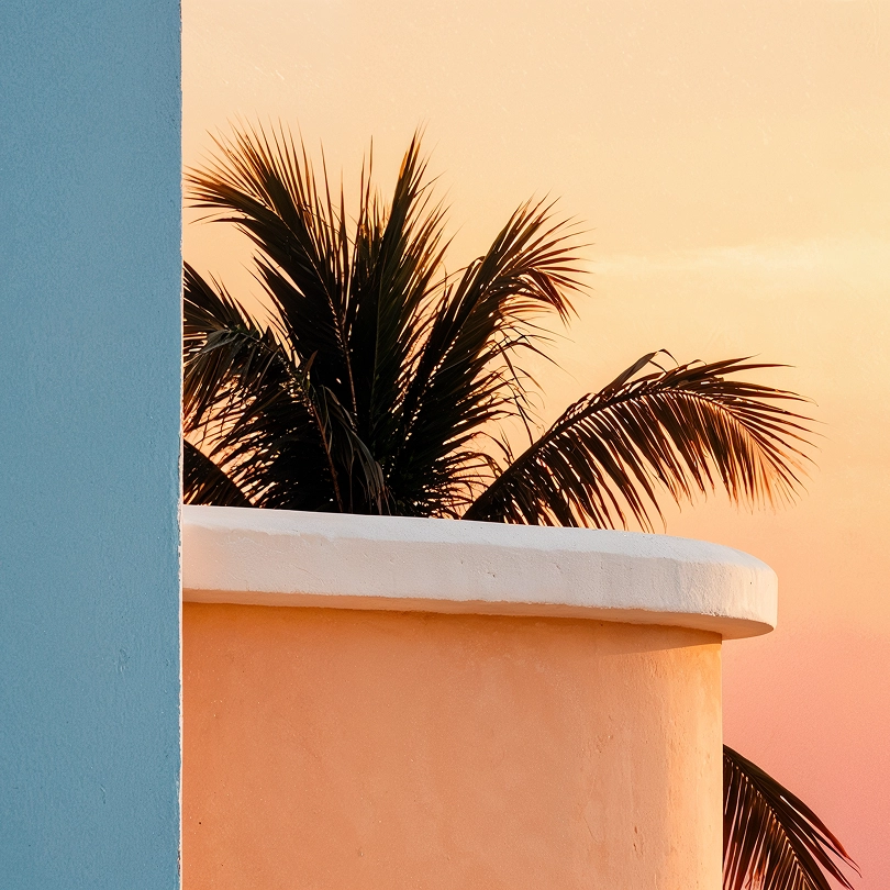 Image of palm trees silhouetted against a sunset sky.