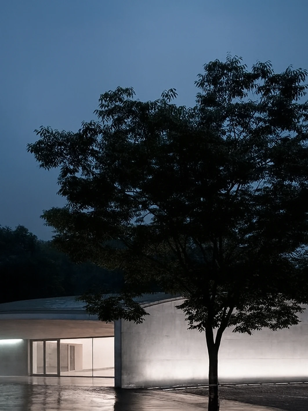 Image of an architectural space with trees and a building under night lighting