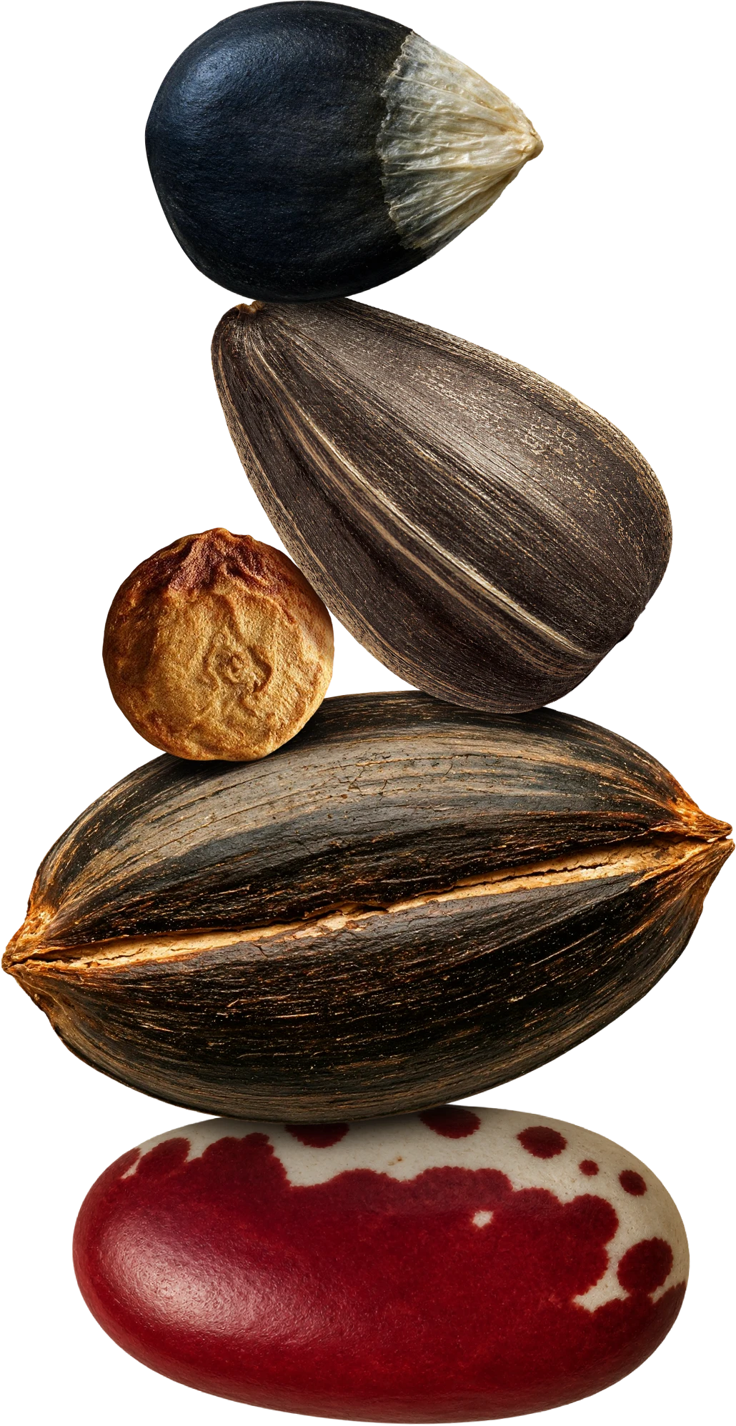 Image of five different seeds representing each region of Kia Global CMF Design