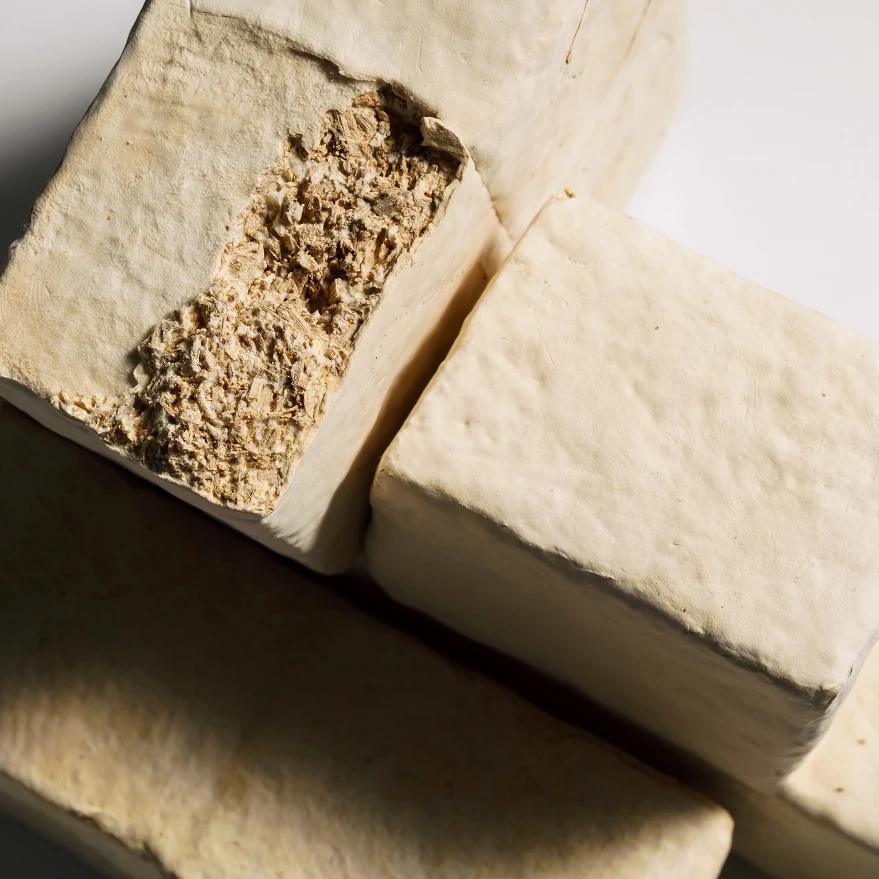 Cross-section of a mycelium leather alternative prototype made from compressed mushroom mycelium