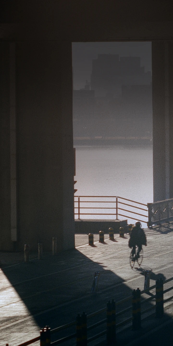 Bicycle path under an overpass with long shadows cast across the scene