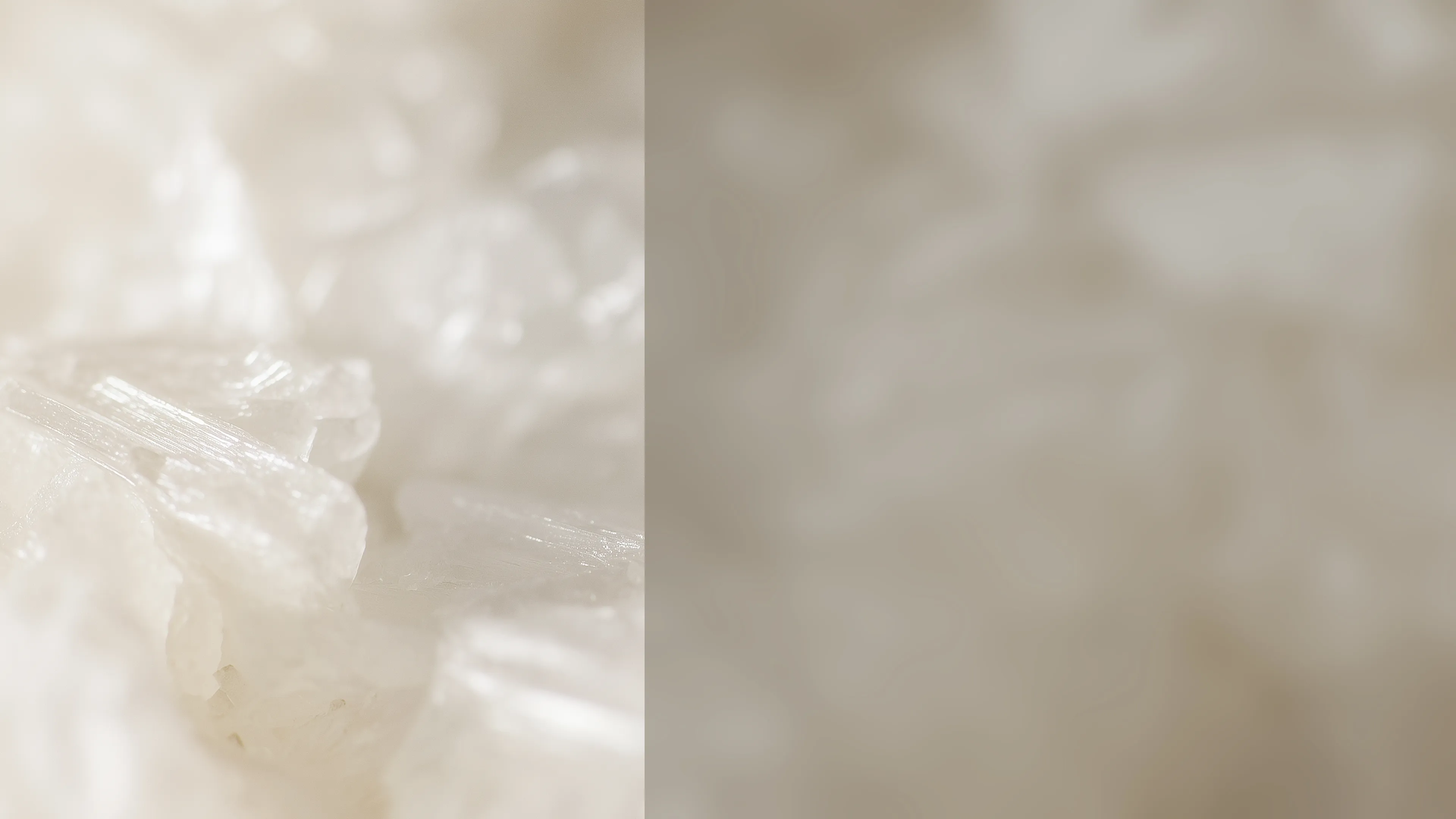 Close-up of an ivory crystalline structure.